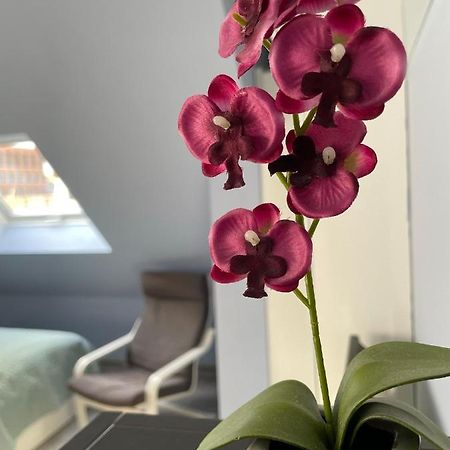 Deluxe Apartment Βιζμπάντεν Εξωτερικό φωτογραφία