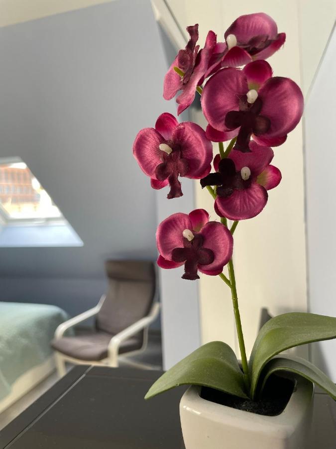 Deluxe Apartment Βιζμπάντεν Εξωτερικό φωτογραφία