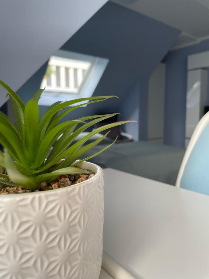 Deluxe Apartment Βιζμπάντεν Εξωτερικό φωτογραφία